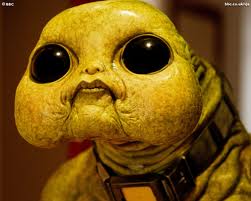 RUARI MEARS SLITHEEN.jpg