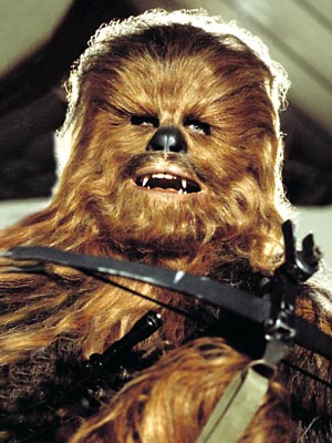 stephen calcutt - CHEWBACCA-2.jpg