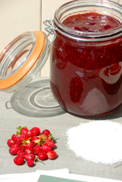 PLEASE CLICK HERE TO ORDER OR FOR MORE DETAILS